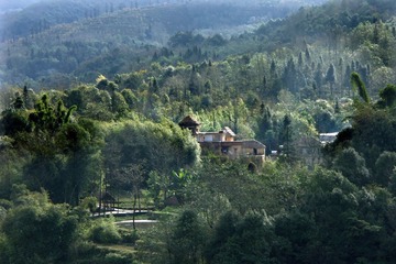 乡村1