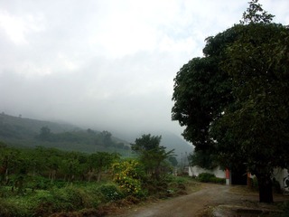 乡村2