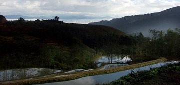 PICT0194