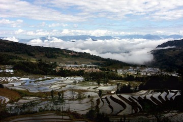 PICT0234