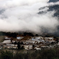 PICT0237
