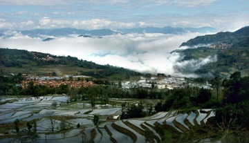 PICT0242