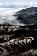 PICT0245