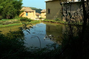 P1050897
