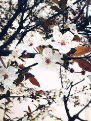 IMG_20120329_071704_副本.jpg