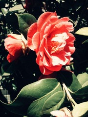 IMG_20120401_121743_副本.jpg