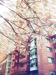 20120405_122745_副本.jpg
