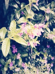 IMG_20120605_124532_副本.jpg