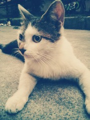 IMG_20120609_190659_副本.jpg