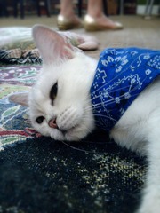 IMG_20110731_145840_副本.jpg