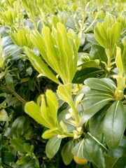 IMG_20120407_161448.jpg