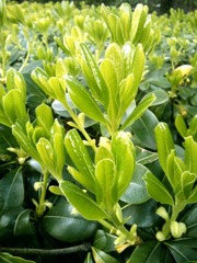 IMG_20120407_161459.jpg