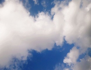 IMG_20120801_074702_副本.jpg
