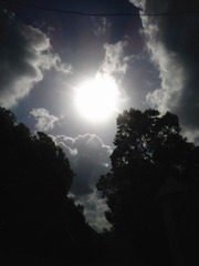 IMG_20120801_074721_副本.jpg