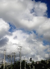 IMG_20120801_074824_副本.jpg
