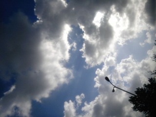 IMG_20120801_075116_副本.jpg
