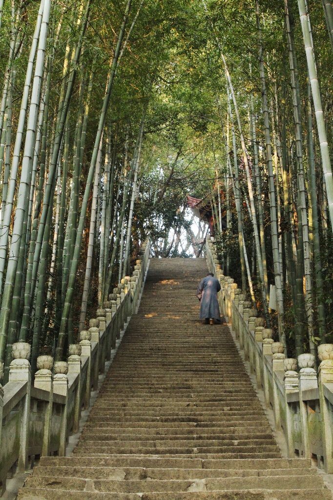 东林竹道<br />
很喜欢东林寺后山的竹林