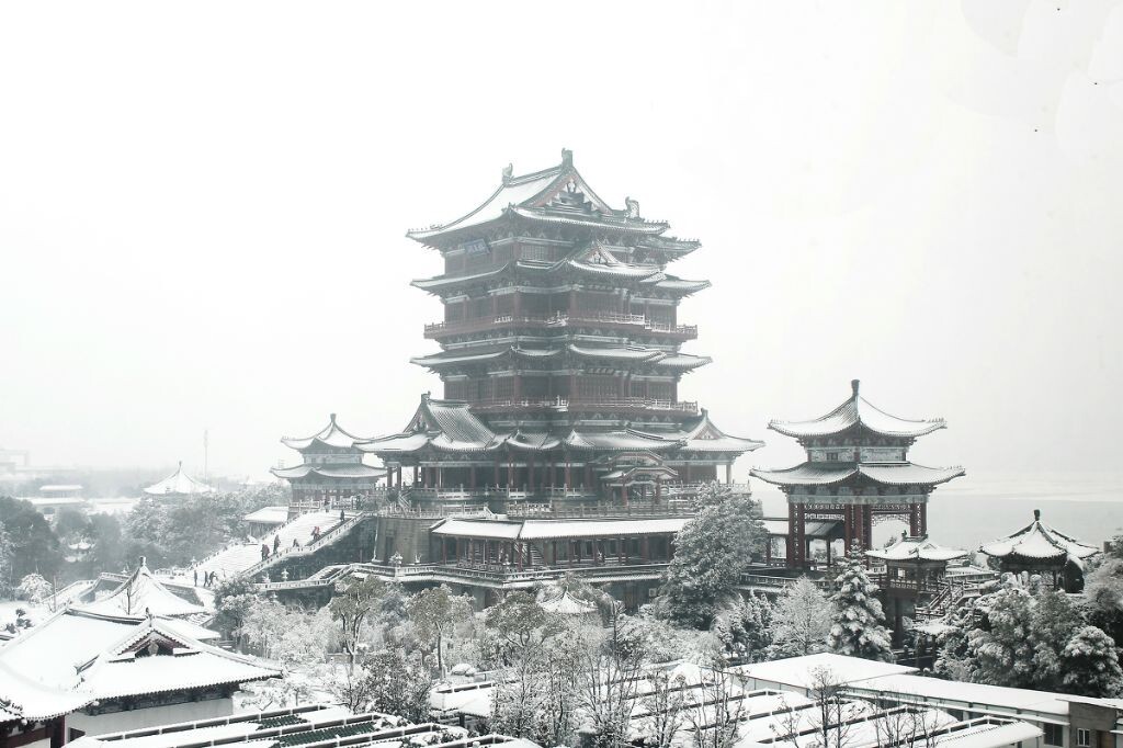 2014年的第一场雪很大，白茫茫白茫茫