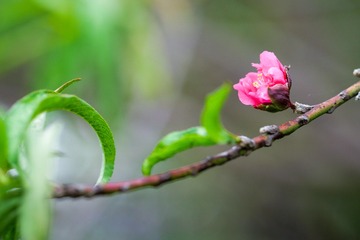 07DE5E89-D793-4A3C-BC28-57534BA3648F/L0/001