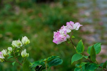 314C2489-9DDA-41F0-AAE6-0C1C9C8C1CD4/L0/001