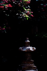 D402E00C-F596-4F63-BA0F-9A9CD00292A7/L0/001