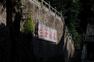 F8C63F9F-6C8E-418E-AD52-259C03581017/L0/001