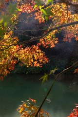 3EA75574-4CF2-4056-B7FB-F5FB37058A71/L0/001