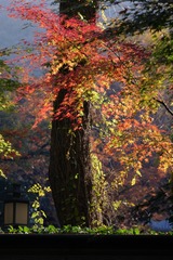 2423C8E8-BD5E-49CD-A3AC-586A98CE2407/L0/001