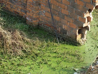 DSCF6250.JPG