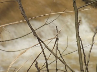 DSCF6283.JPG