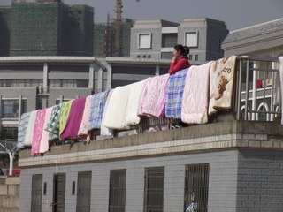 DSCF6309.JPG
