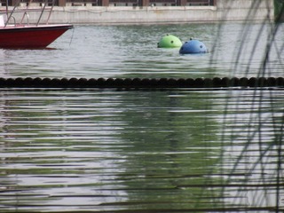 DSCF6420 - 副本.JPG