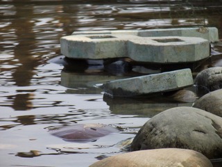 DSCF6424 - 副本.JPG