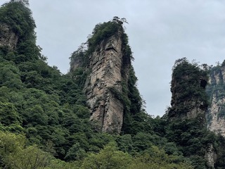 E246C28D-2F2D-4CDA-938A-5F909AF5FD23/L0/001
