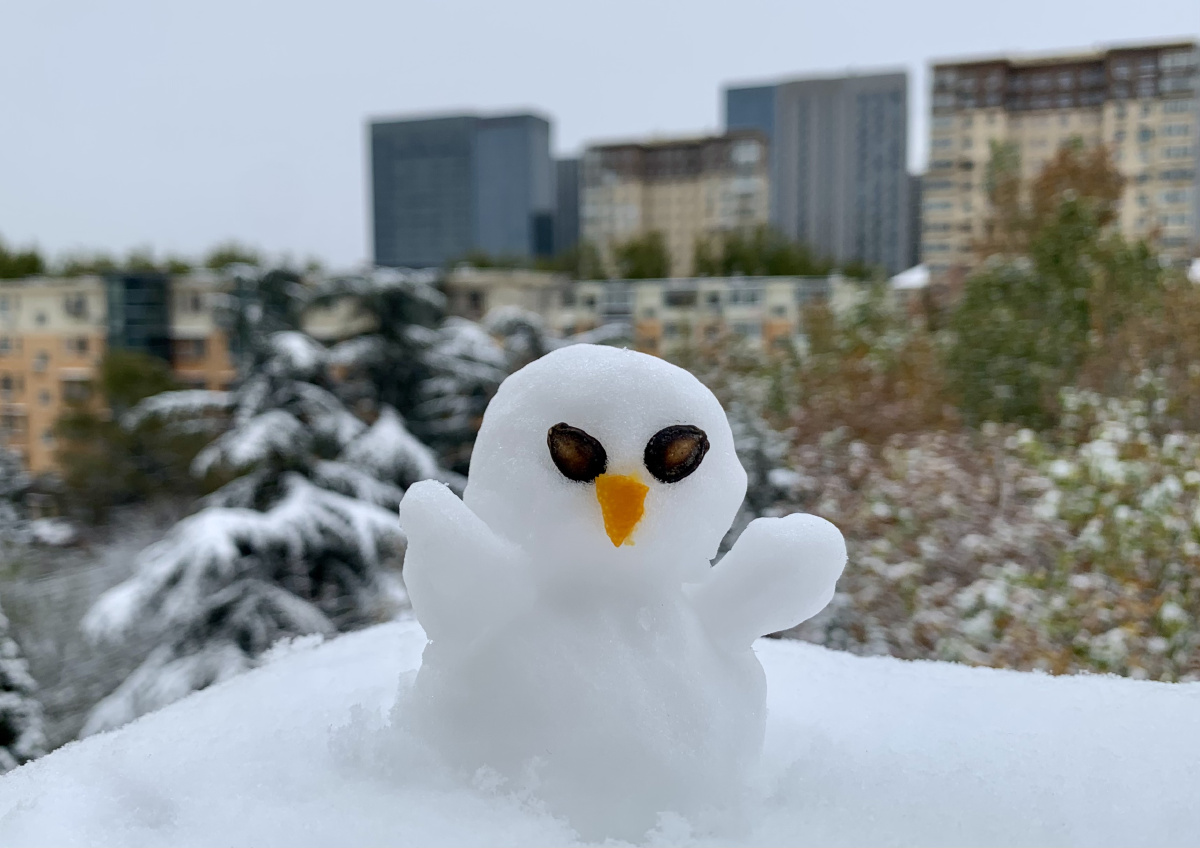 纪念2021第一场雪,足不出户也能堆雪人早晨一个,下午一个