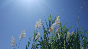 IMG20220711134827