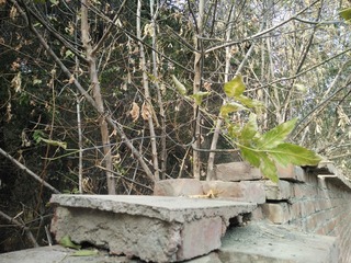 IMG20211010142227