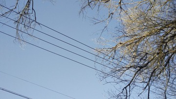 IMG20211110111538
