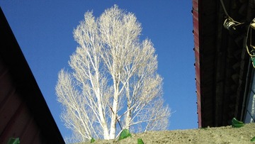 IMG20211110111842