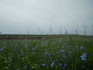 IMG20200629104650