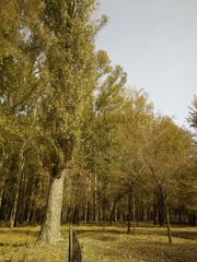 IMG20211010135753