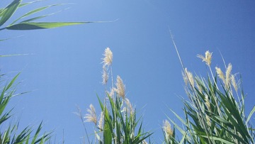 IMG20220711134809