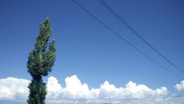 IMG20220711131441