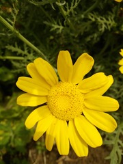IMG20220719131251