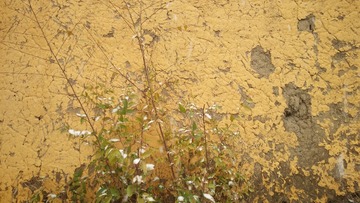 IMG20211103122650
