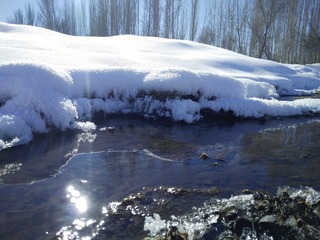 IMG20210214153839