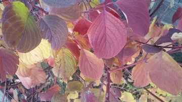 IMG20211015121653