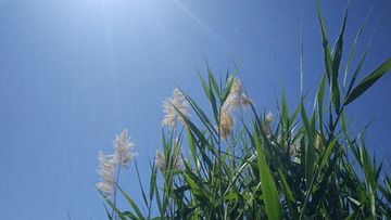 IMG20220711134758