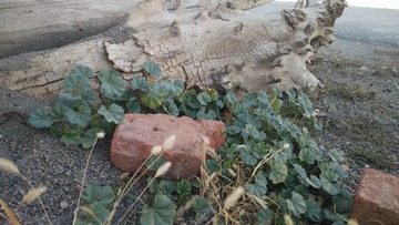 IMG20211026165200