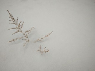 IMG20211220175035